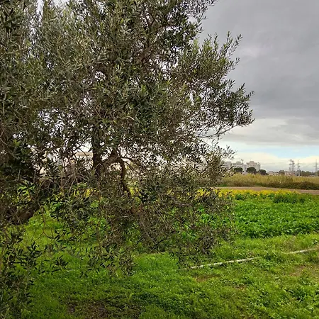 Bed & Breakfast Da Gino 4*