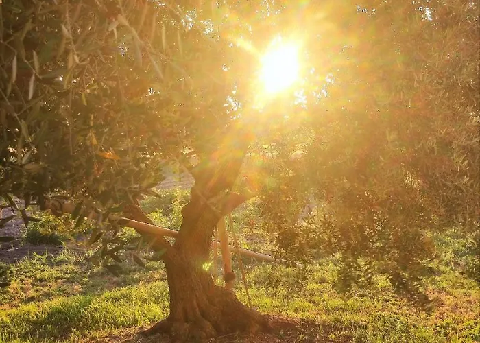 Da Gino Bed & Breakfast