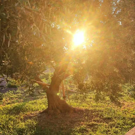 Da Gino 住宿加早餐酒店